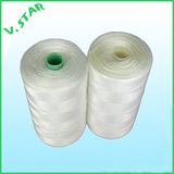 Polyamide (PA) 6 Fishnet Twine/Thread