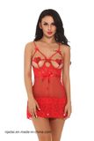 Hot Sale Red Sexy Lingerie, Women Underwear.