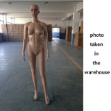 Cheap Hotsale Full-Body Female Mannequin with Glass/Metal Base