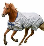 Fashion New Summer Light Weight Horse Blankets (SMR1710)