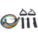 Rubber Fitness Resistance Bands Elastic Training Rope 11PCS/Set