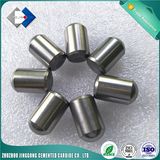 Yg11c, Yg13c, Yg15c, Yg20c, Yk05 Cemented Carbide Button Bit