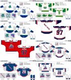 Customized American Hockey League Hartford Wolf Pack Hockey Jersey