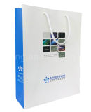 Custom Art Paper Shopping Gift Bag with Rope Handle