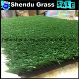 International Grade 10mm Grass Carpet for Floor