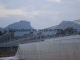 50 Mesh Insect Net