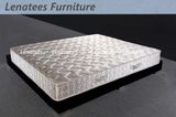 Guarantee Box Spring Mattress for Hotel Bedroom