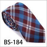 100% Silk/Polyester Check Man Tie (BS-184)