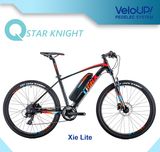 Green Power Electric Bike with Long Range Men Commuter