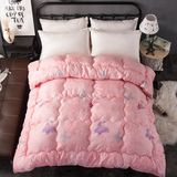 Pure Cotton Goose Down Feather Duvet/Quilt/Comforter for Home