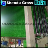 Artificial Grass Carpet 10mm 250stitch/M for Indoor Floor