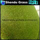 Synthetic Grass Carpet with 40mm Thickness