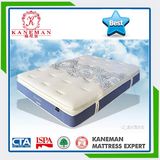 Well Spring Queen Size Mattress