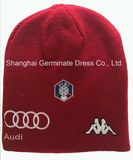 2017 Fashion Beanie Embroidery Knitting Hat (HJB-103)