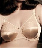 Plus Underwear Bra/ Plus Lingerie (PS000115)