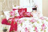 Microfiber Plain Dyed Cheap Bed Sheet Set Bedding Set