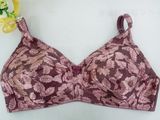 Ladies Women Bra Set and Lady Plus Size Bra