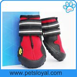 Amazon Hot Sale Luxury Pet Accessories Pet Shoes Dog Boots