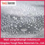 High Quality PE Transparent PE Tarpaulin / Woven Tarpaulin Roll Transparent From China Factory