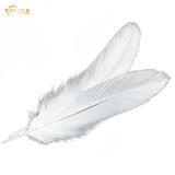 Goose Feather & Down Filling Material