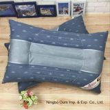 Hot Sale Brushed Fabric Semen Cassia Health Pillow New Style