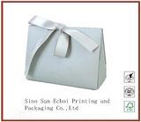 Offset Printing Coated Paper Hand Bag Gift Bag with Silk Ribbon