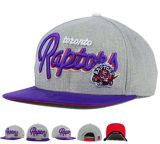 Purple Brim and 3e Embroidery Logo Snapback Caps