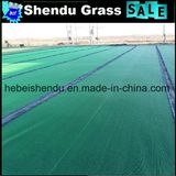 Light Green and Dark Green 10mm Grass Carpet Hot Sales