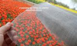 120G/M2 18X16mesh Fiberglass Invisible Insect Screen /Window Screen