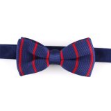 Fashion Polyester Knitted Men's Bow Tie (YWZJ 37)