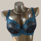 Hot Sexy Transparent Big Size Bra and Panty (W034)
