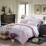 Cheap Printed Cotton Bed Sheet Set