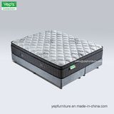 5 Areas Pocket Spring System Best Cooling Memory Foam Mattress (GP232N)