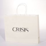 Paper/PP Woven Reusable Bag for Shopping/Gifts