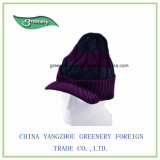 Purple and Navy Winter Knit Hat with Brim