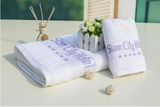 Promotional Hotel / Home Cotton Face / Bath / Hand / Beach Towels