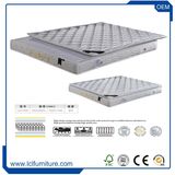 China Shenzhen Export 4 Star Hotel Dream Simple Queen Musical Massage Spring Mattress Factory