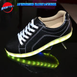 Hot Sale Factory LED Casual Shoes
