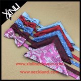 Wholesale Custom Woven Silk Bow Tie Paisley