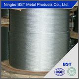 High Quality Wire Rope (ASTM, GB, DIN, EN)