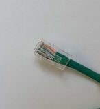 RJ45 Networking LAN Cable AMP CAT6 UTP Patch Cord