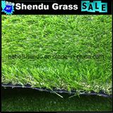 China Cheap Artificial Grass Carpet with Green Color