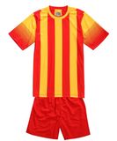 Football Jersey Soccer Jersey Cheap Jersey