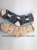 Legging Socks Tights Sock Cotton Socks Stocking Home Socks Cashmere