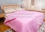 100% Cotton Plain Bed Sheet