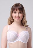 High Quality Women's Underwear Big Size Bra with C. D. E. F Cup