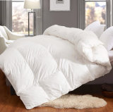 Luxury Home Textile 280tc 80% White Goose Down Comforter