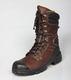 Fashion Design S1p Standard High Cut Safety Boot