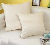 Hot Sale Microfiber Throw Pillow From China for Home