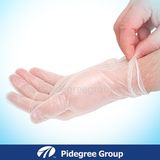 Household Disposable Vinyl Gloves for Food Processing and General Purpose